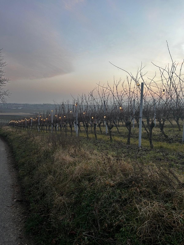 Romantischer Wanderweg in der Abenddämmerung